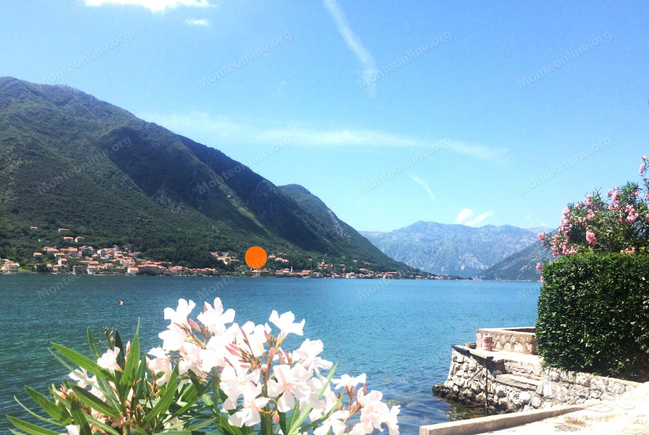 Земля в Прчани, Черногория, 5 000 м² - фото 3