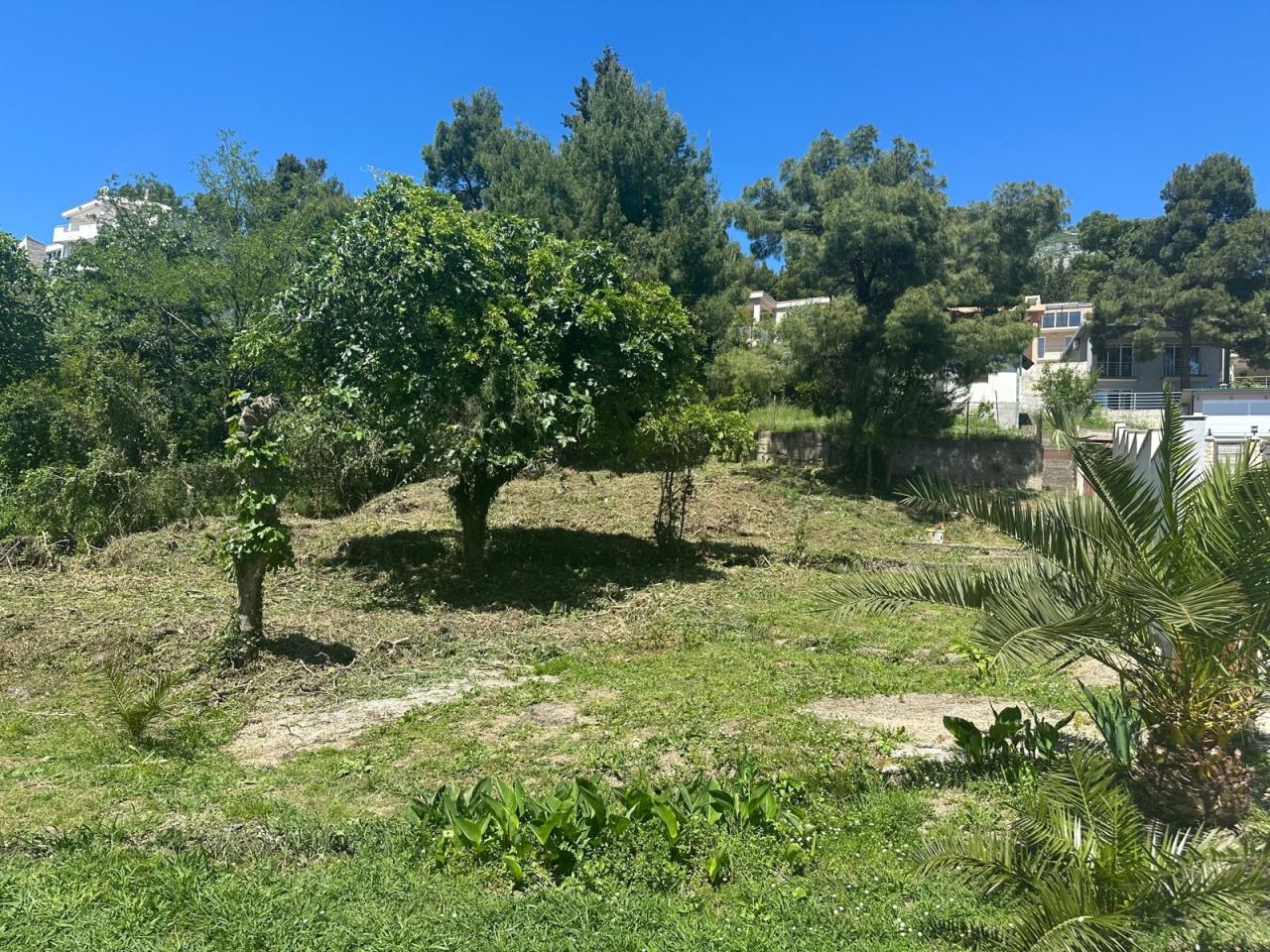 Земля в Баре, Черногория, 420 м² - фото 3