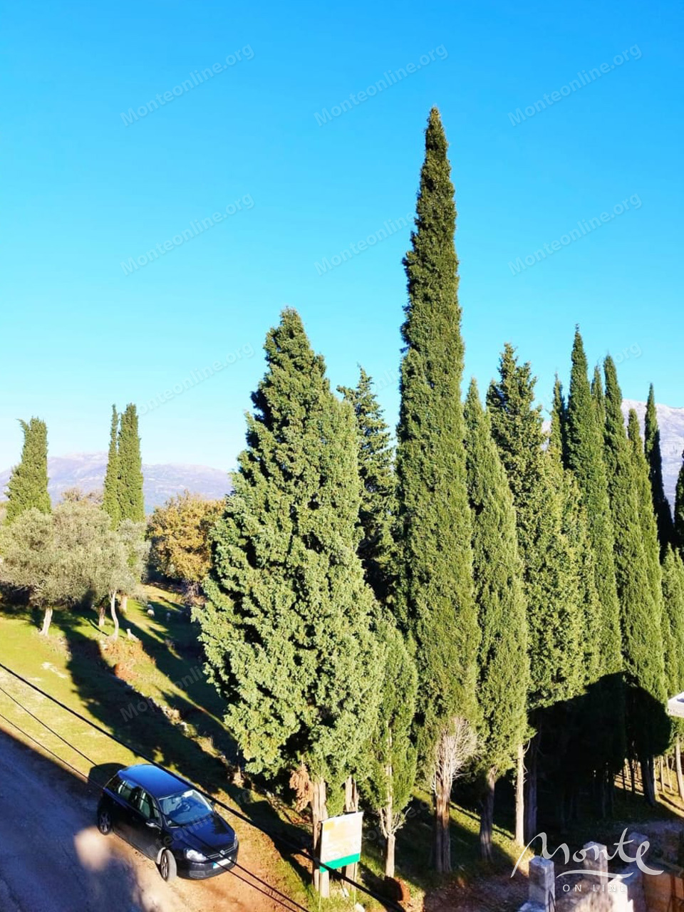 Земля в Херцег-Нови, Черногория, 2 391 м² - фото 4