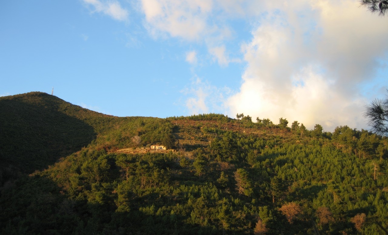 Земля в Будве, Черногория, 11 246 м² - фото 5