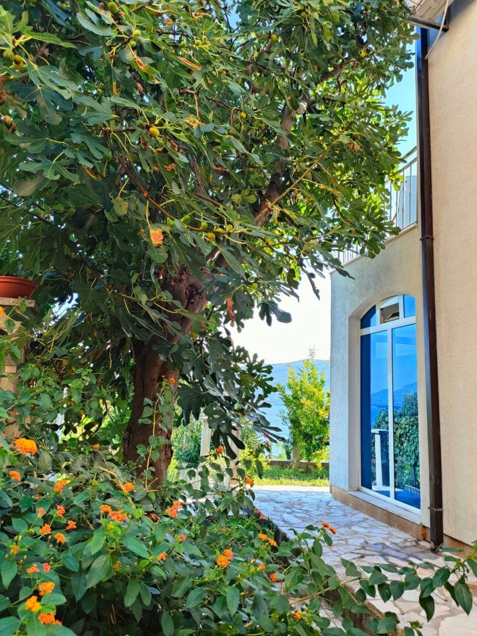 Вилла в Биеле, Черногория, 143 м² - фото 6