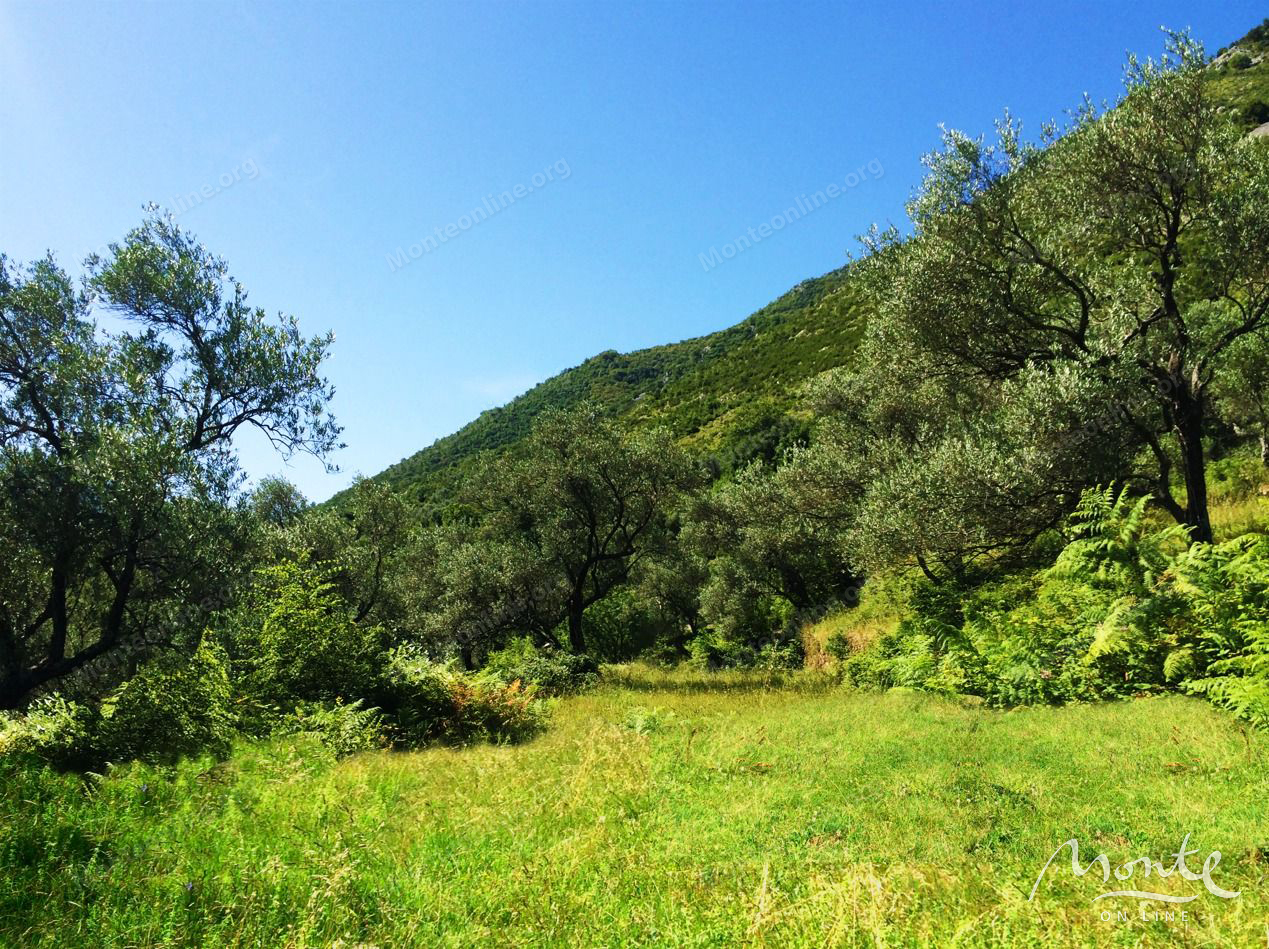 Земля в Прчани, Черногория, 5 000 м² - фото 7