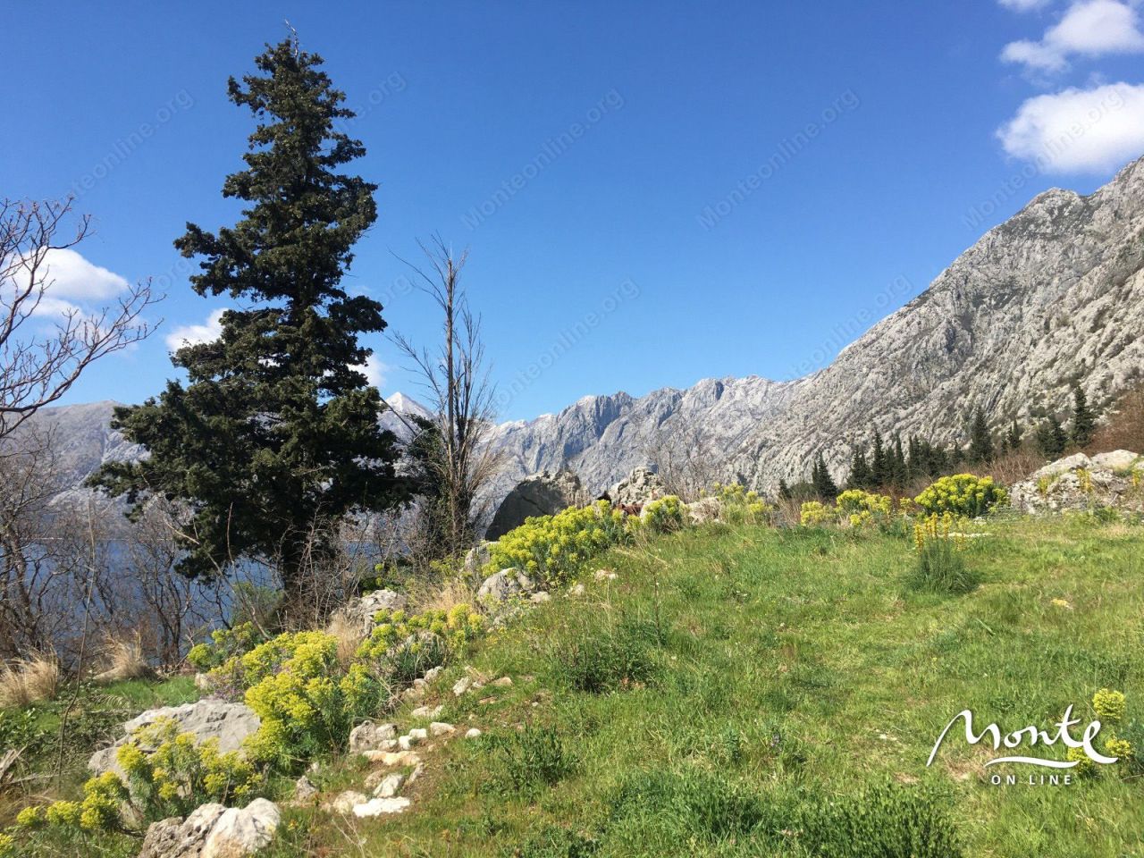 Земля в Доброте, Черногория, 3 060 м² - фото 9