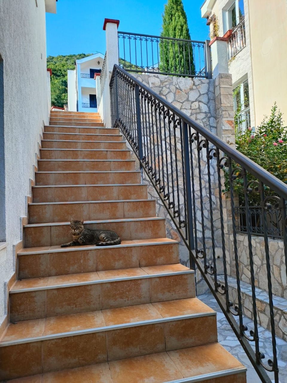 Вилла в Биеле, Черногория, 143 м² - фото 9