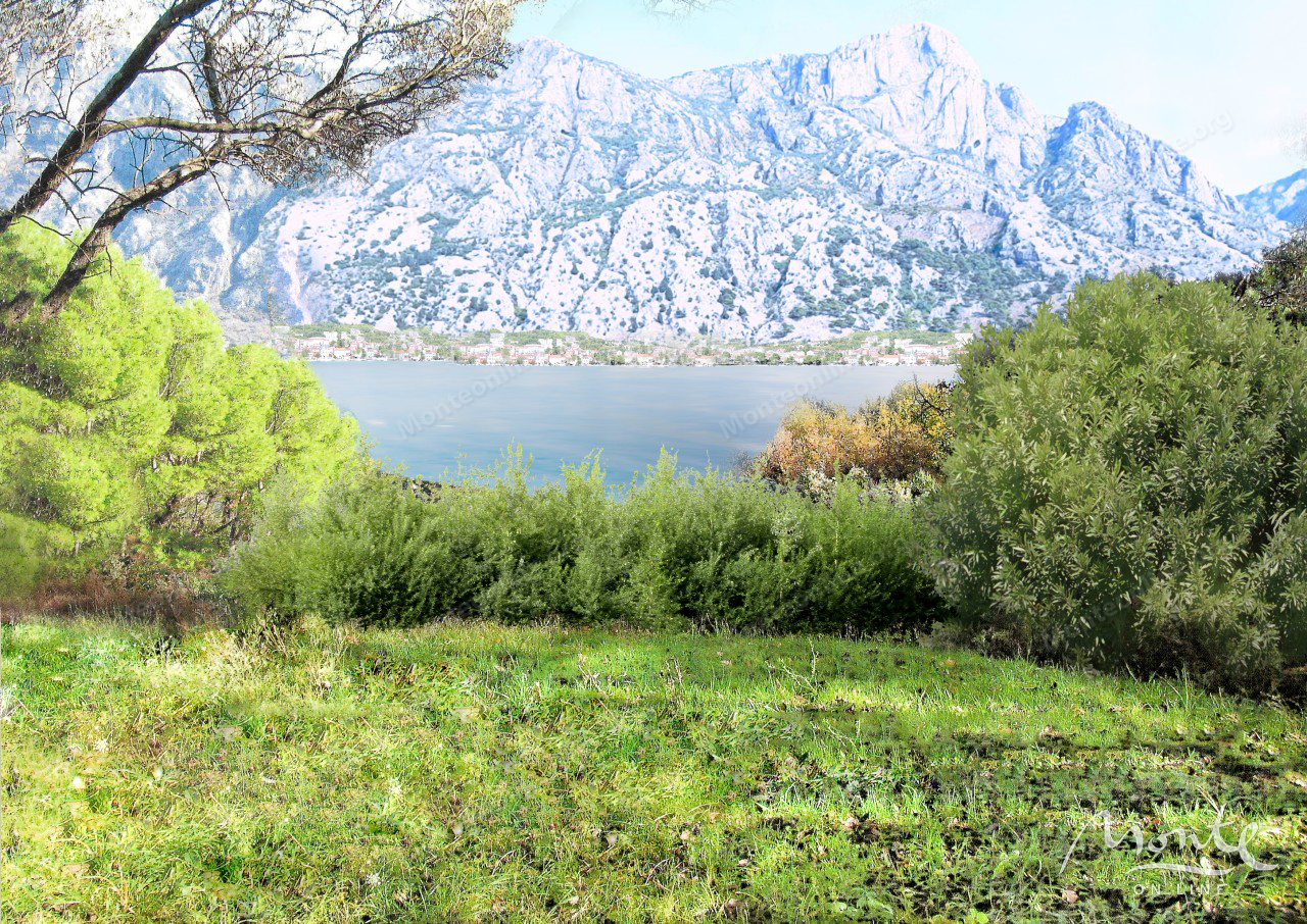 Земля в Прчани, Черногория, 5 000 м² - фото 9