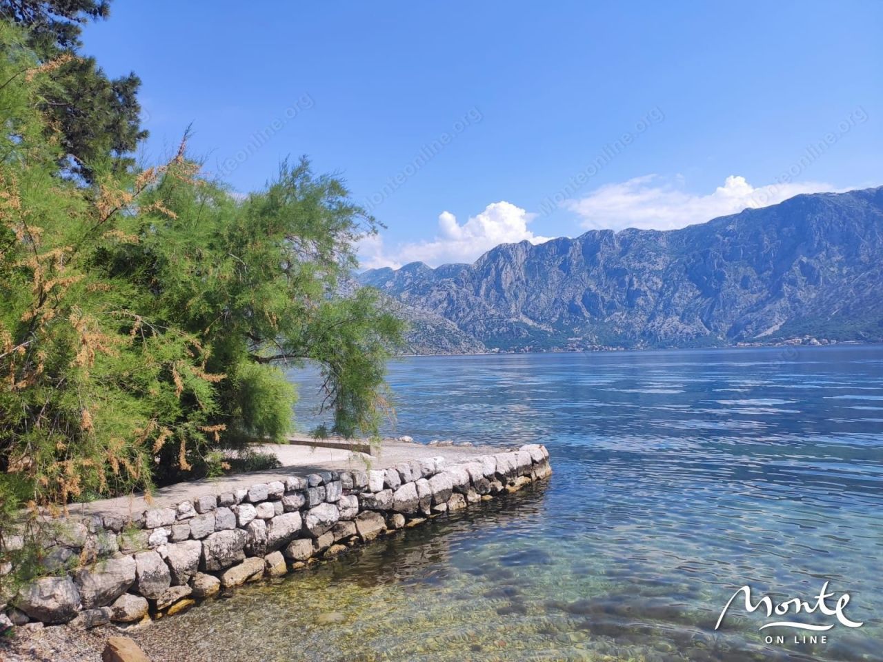 Земля в Прчани, Черногория, 7 500 м² - фото 16