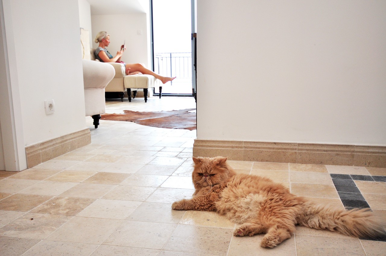 Апартаменты в Рисане, Черногория, 200 м² - фото 18