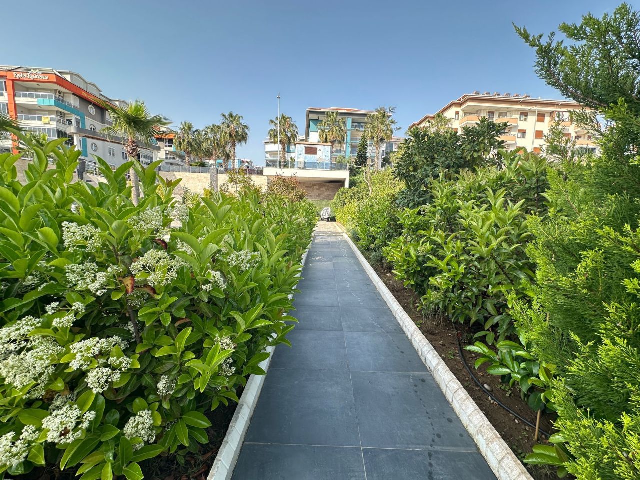 Апартаменты в Алании, Турция, 63 м² - фото 8