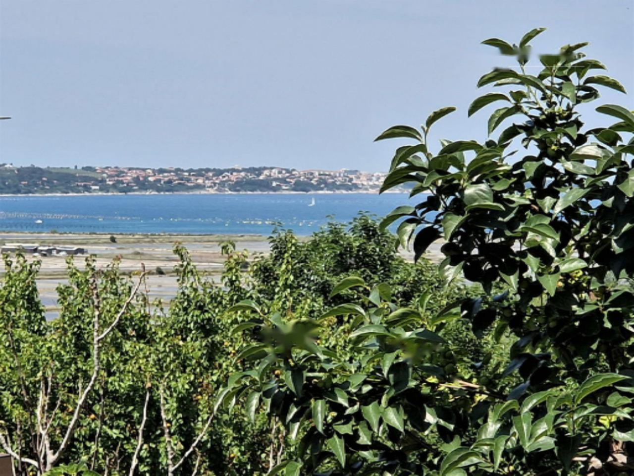 Дом в Пиране, Словения, 80 м² - фото 4