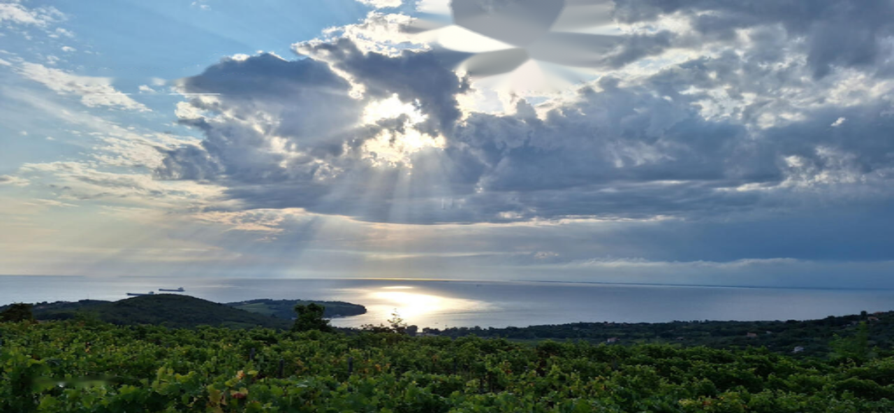 Квартира в Изоле, Словения, 93 м² - фото 18