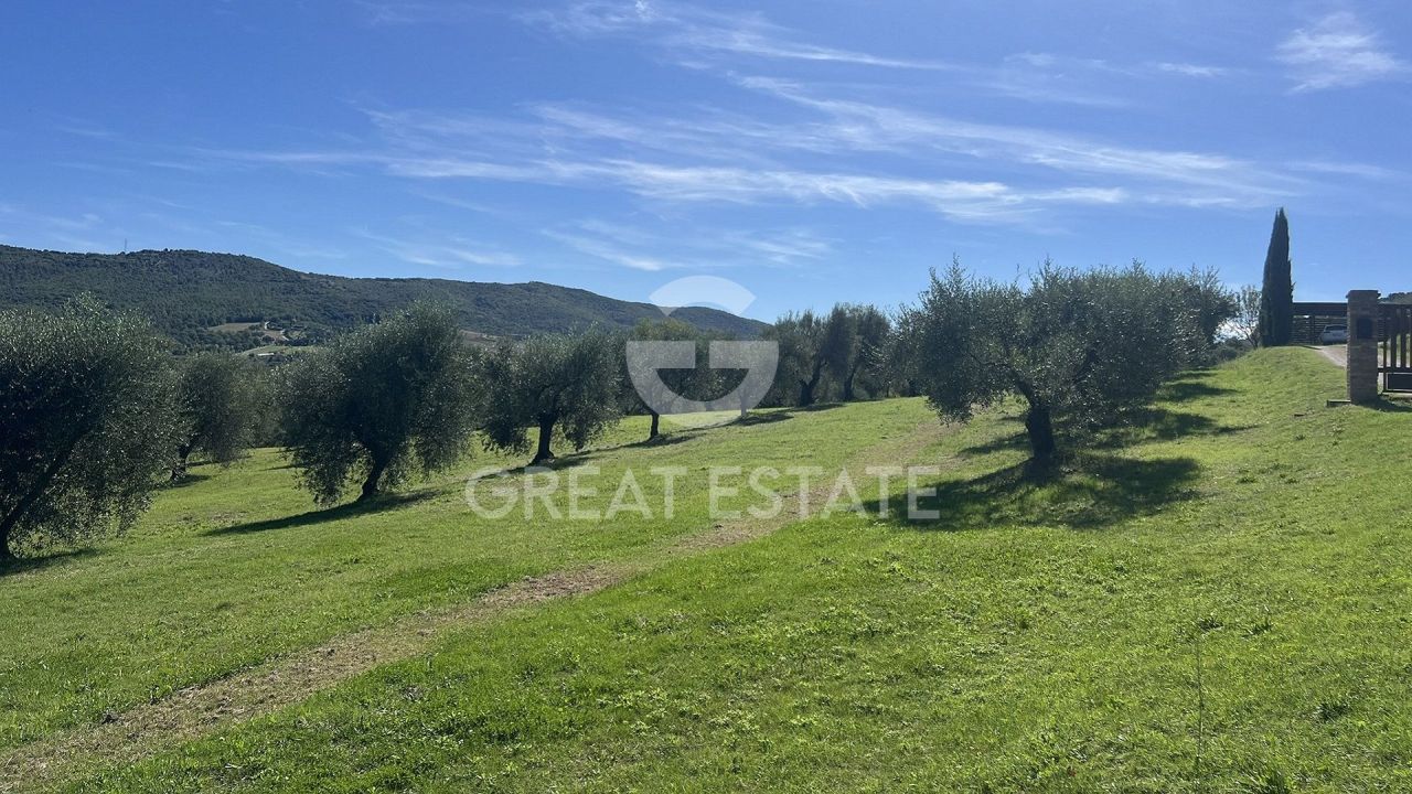 Дом в Маджоне, Италия, 231.3 м² - фото 5