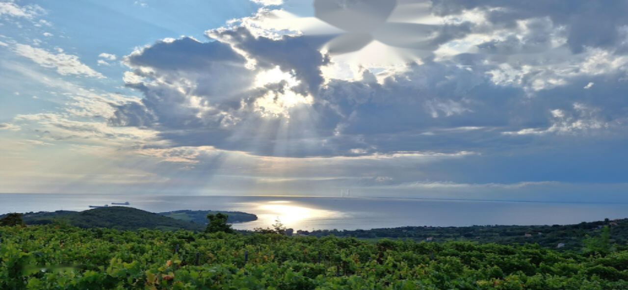 Квартира в Портороже, Словения, 93 м² - фото 2