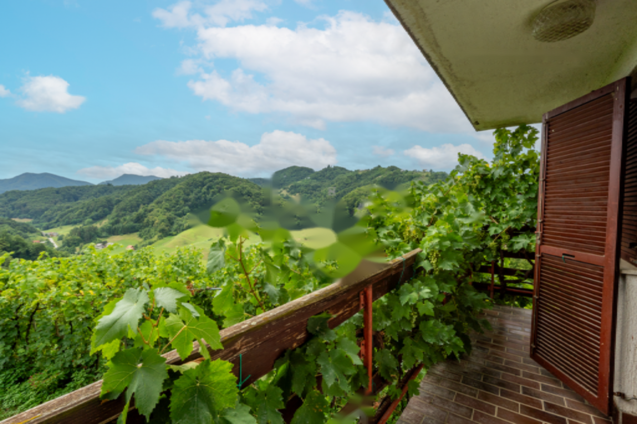 Дом в Малечнике, Словения, 105 м² - фото 4