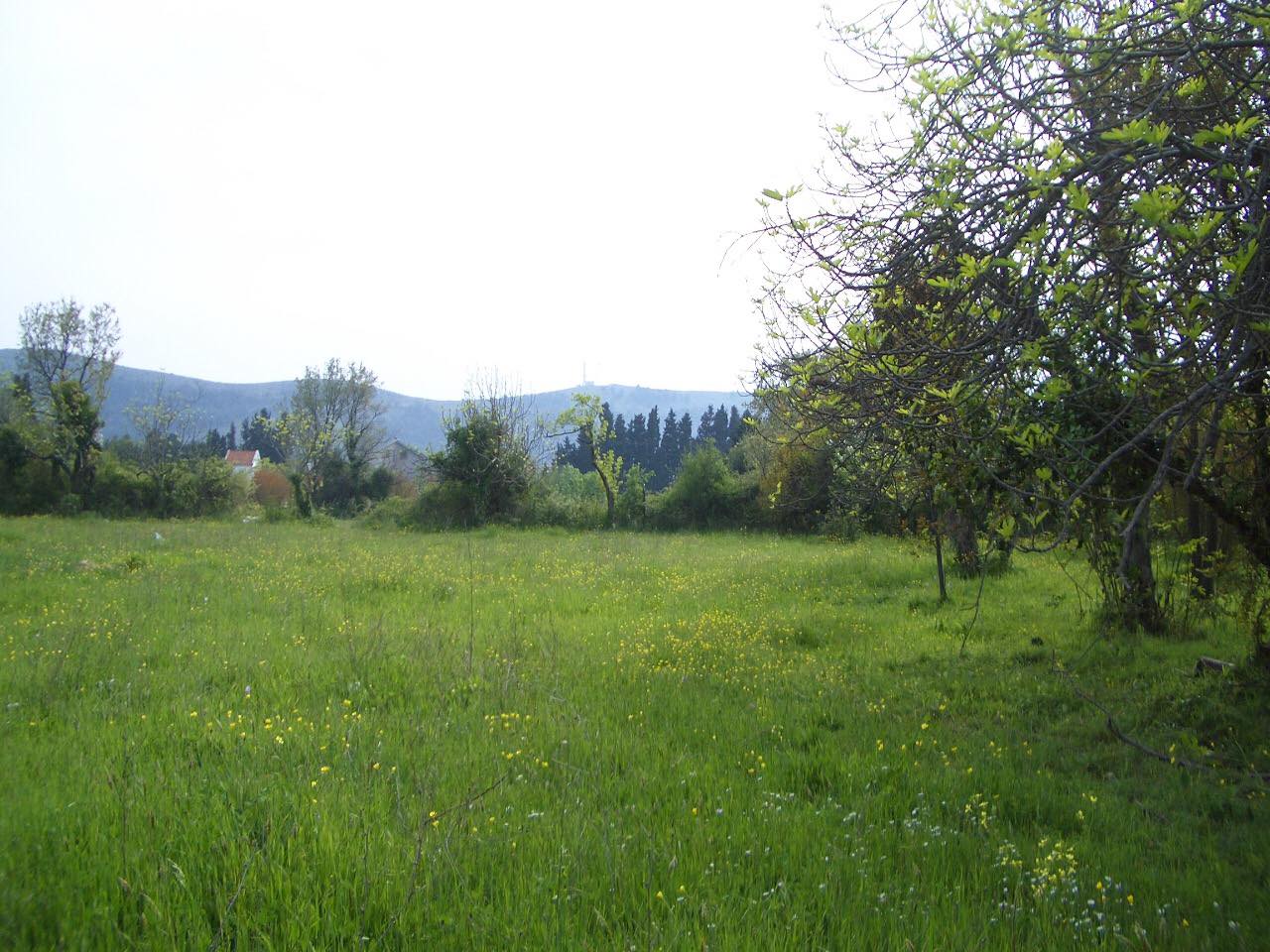 Земля в Баре, Черногория, 7 447 м² - фото 6