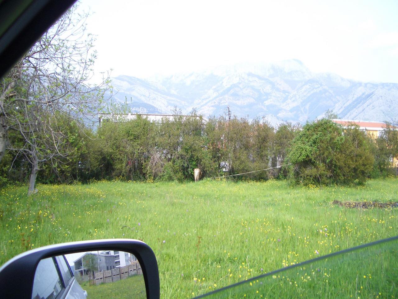 Земля в Баре, Черногория, 7 447 м² - фото 7