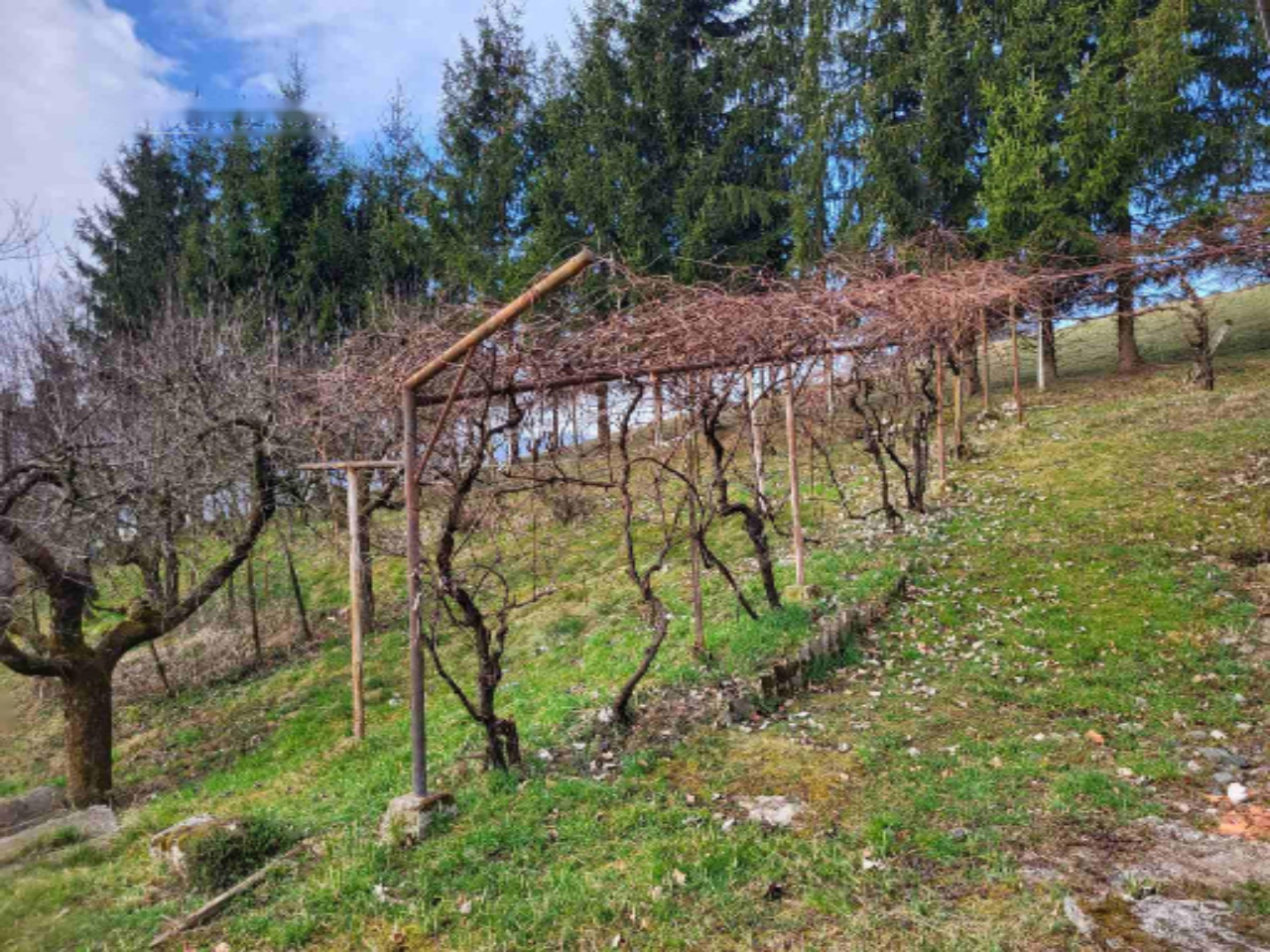 Дом в Ново-Место, Словения, 100 м² - фото 5