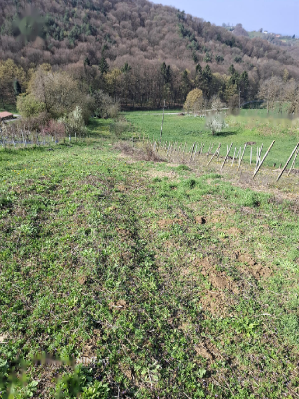 Дом в Малечнике, Словения, 75 м² - фото 17