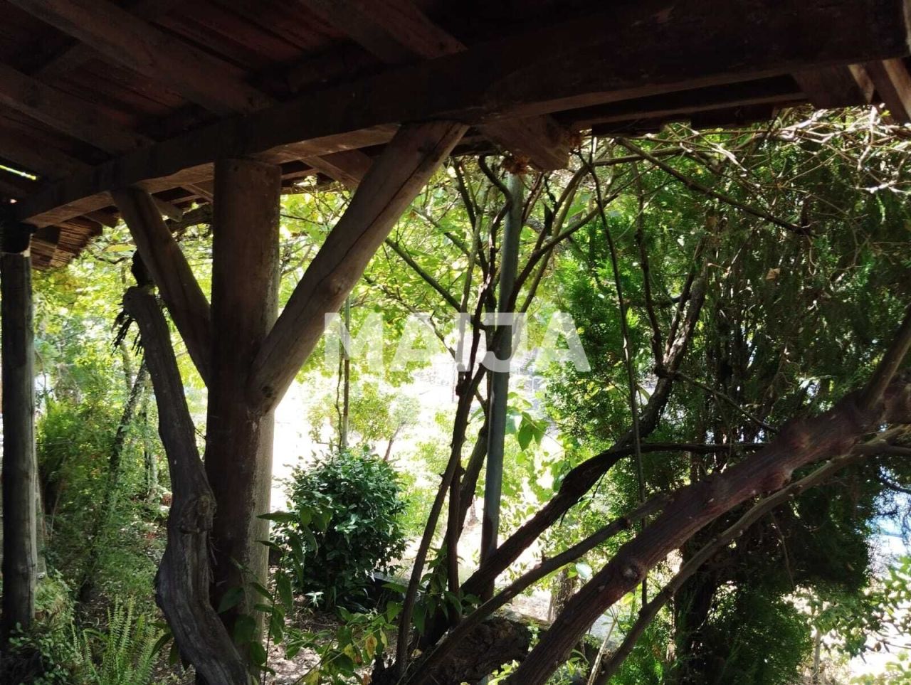 Кафе, ресторан Ferreira do Zêzere, Португалия, 2 000 м² - фото 2