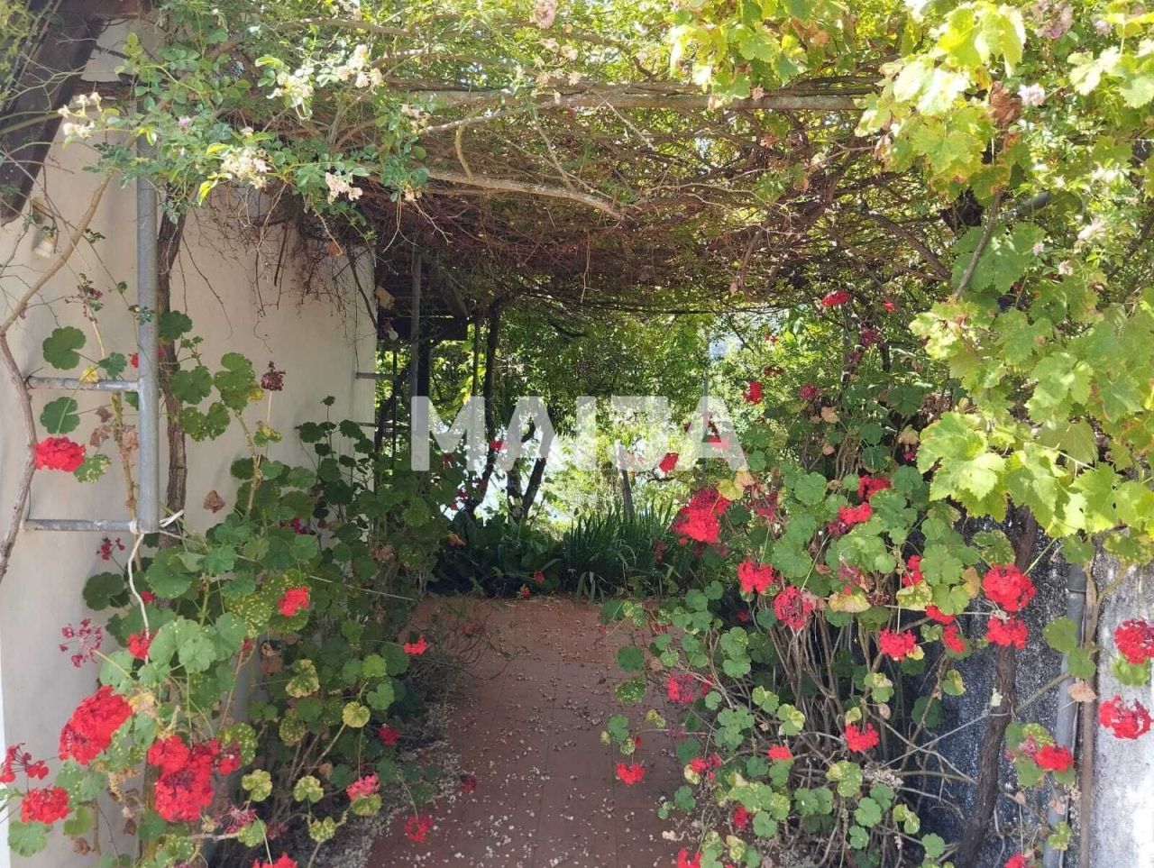 Кафе, ресторан Ferreira do Zêzere, Португалия, 2 000 м² - фото 11