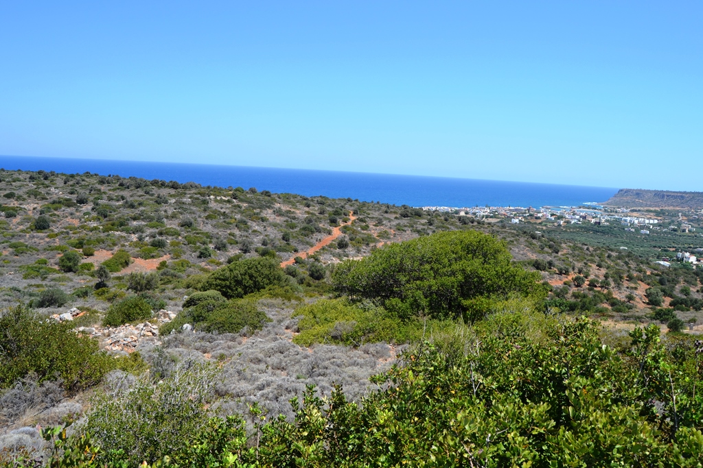 Земля в Ираклионе, Греция, 13 000 м² - фото 2