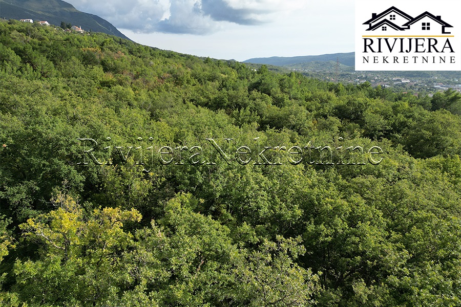 Земля в Которе, Черногория, 5 356 м² - фото 8