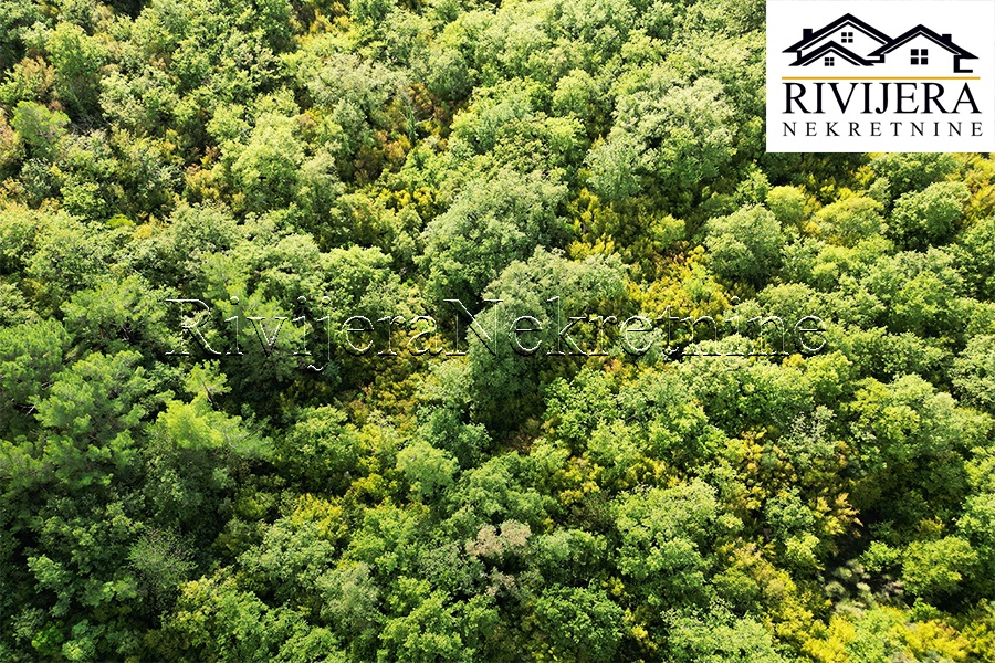 Земля в Которе, Черногория, 5 356 м² - фото 7