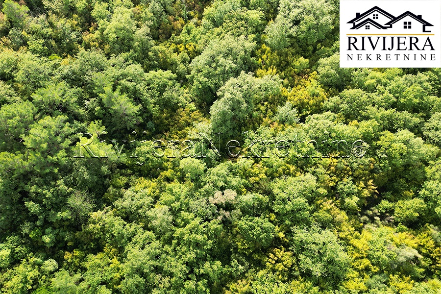 Земля в Которе, Черногория, 5 356 м² - фото 5