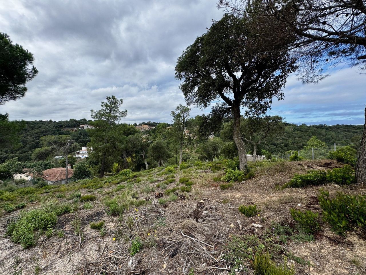 Земля на Коста-Брава, Испания, 2 259 м² - фото 3
