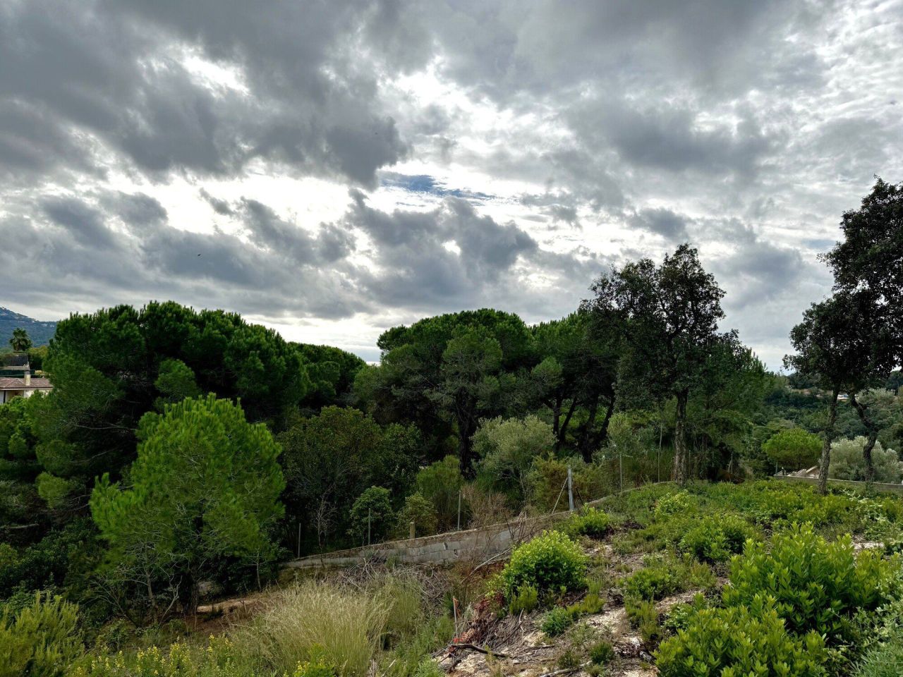 Земля на Коста-Брава, Испания, 2 259 м² - фото 4