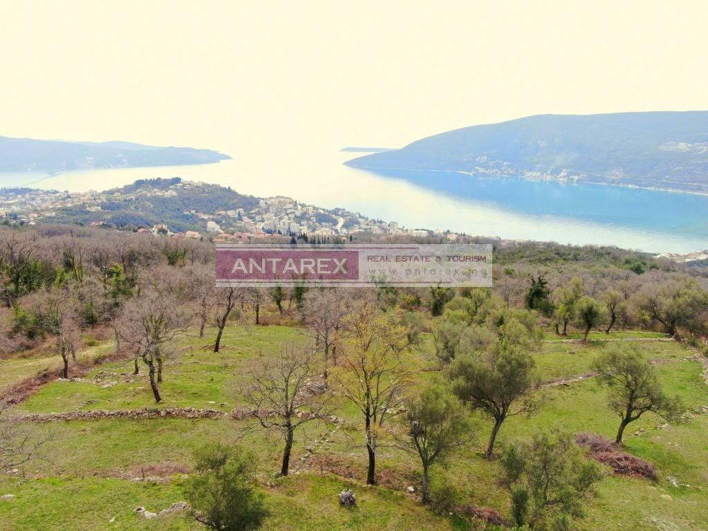 Земля в Херцег-Нови, Черногория, 1 362 м² - фото 3