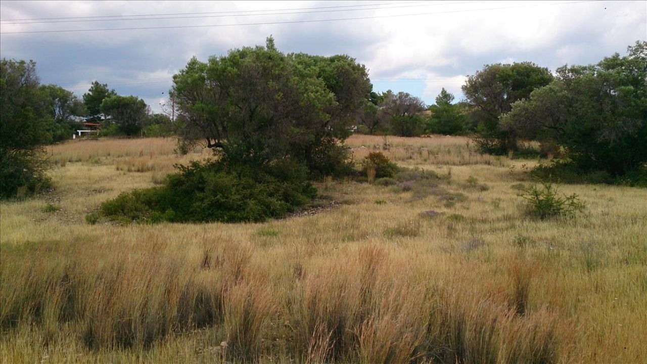 Земля в Ситонии, Греция, 5 658 м² - фото 2