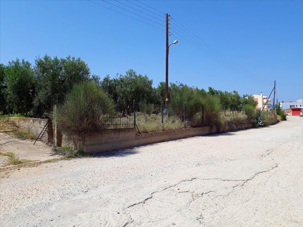 Земля в Ситонии, Греция, 6 400 м² - фото 7