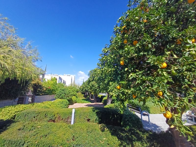 Коттедж в Пафосе, Кипр, 92 м² - фото 2