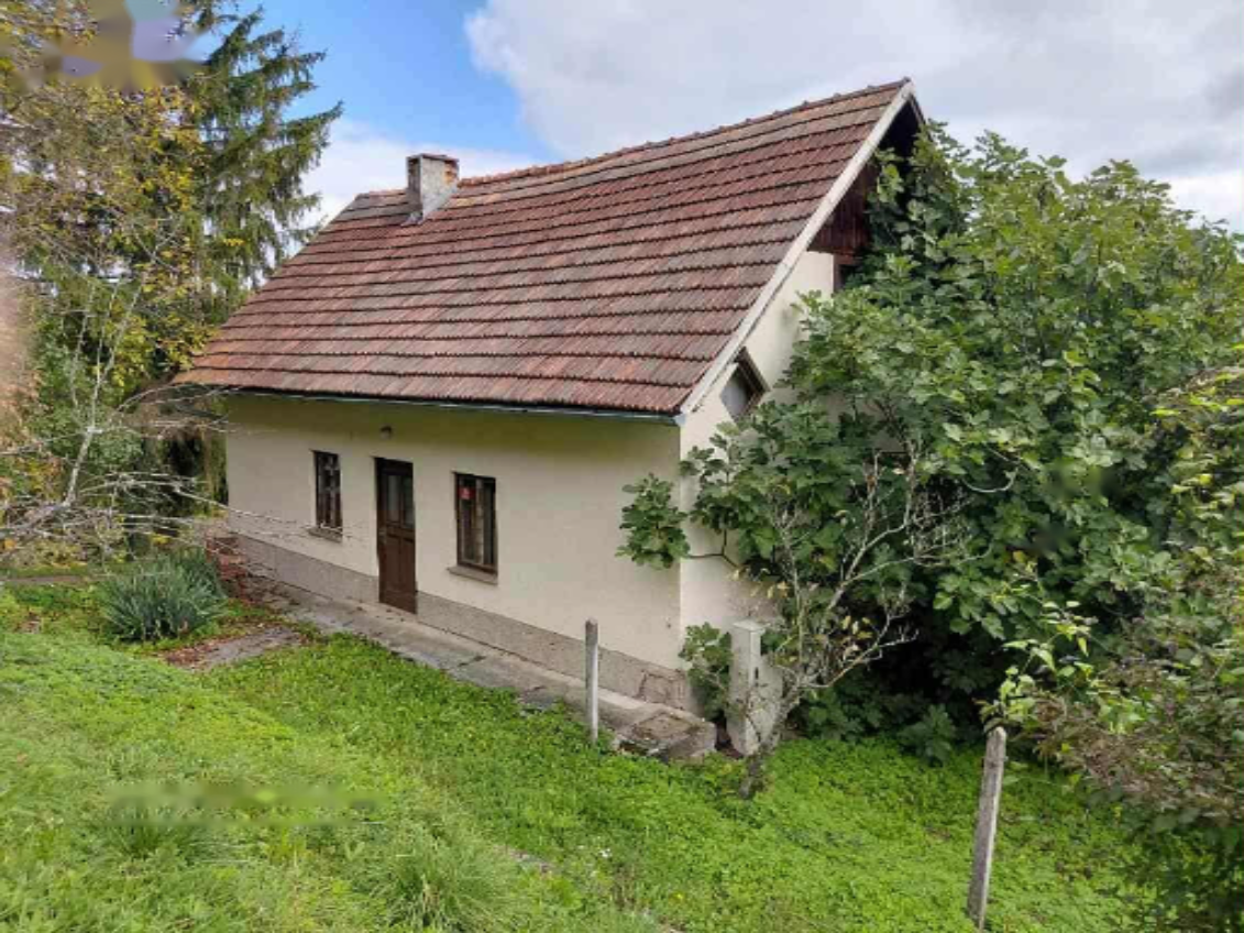 Дом в Рогашка-Слатине, Словения, 2 000 м² - фото 1