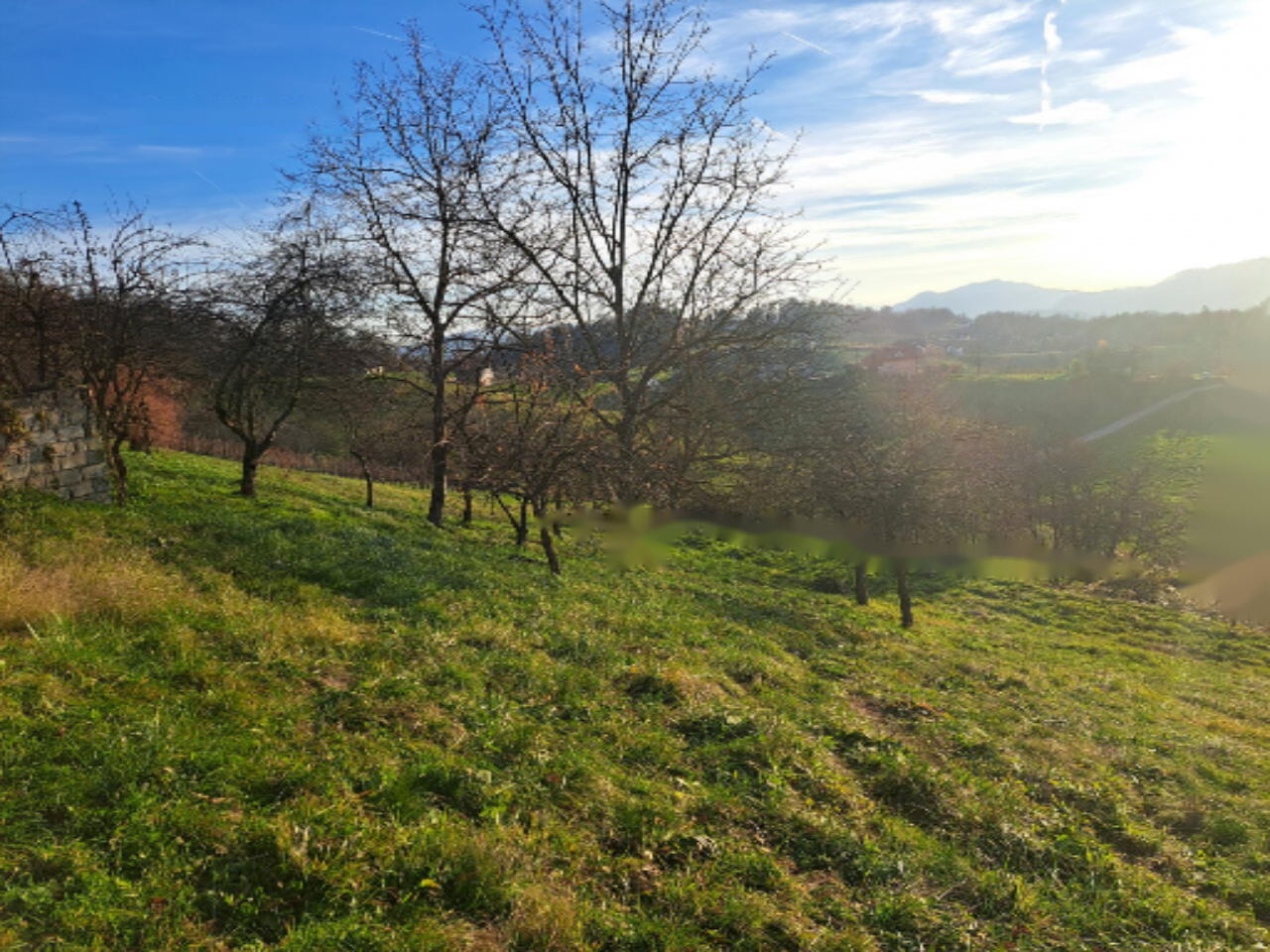 Ферма в Брде, Словения, 4 517 м² - фото 10