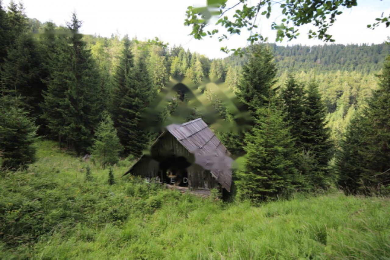 Дом в Есенице, Словения, 31 м² - фото 12