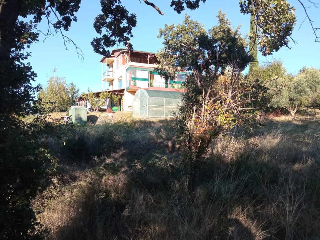 Дом в Салониках, Греция, 240 м² - фото 2