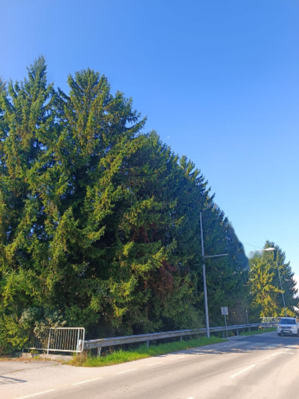 Дом в Любляне, Словения, 190 м² - фото 17