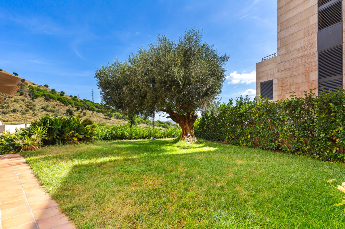 Дом в Барселоне, Испания, 490 м² - фото 6