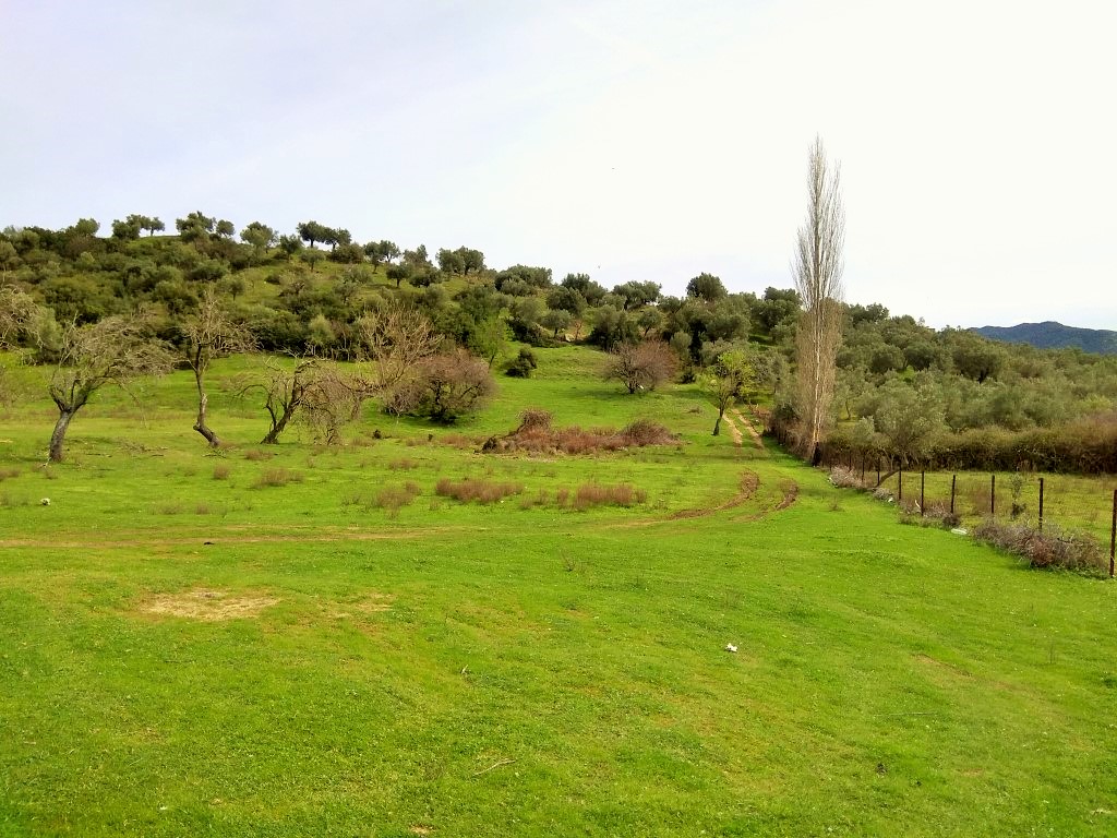 Земля в Ситонии, Греция, 3 300 м² - фото 1