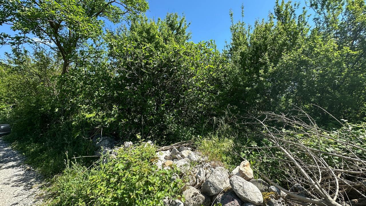 Дом в Даниловграде, Черногория, 70 м² - фото 3