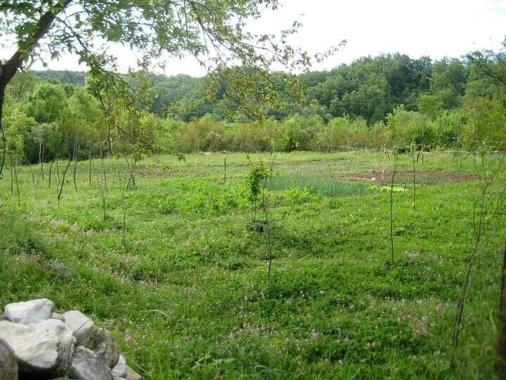 Дом в Даниловграде, Черногория, 70 м² - фото 4