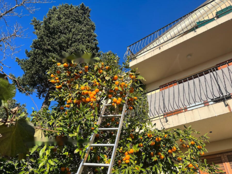 Дом в Портороже, Словения, 499 м² - фото 13