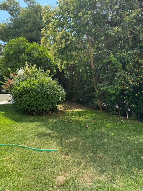 Таунхаус в Афинах, Греция, 300 м² - фото 8