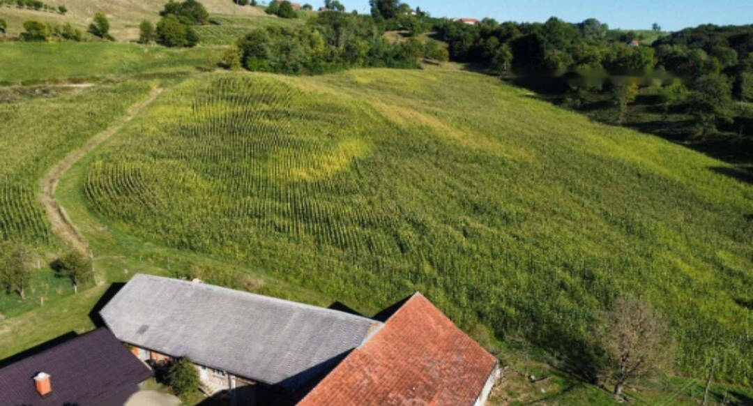 Ферма в Руше, Словения, 160 000 м² - фото 6