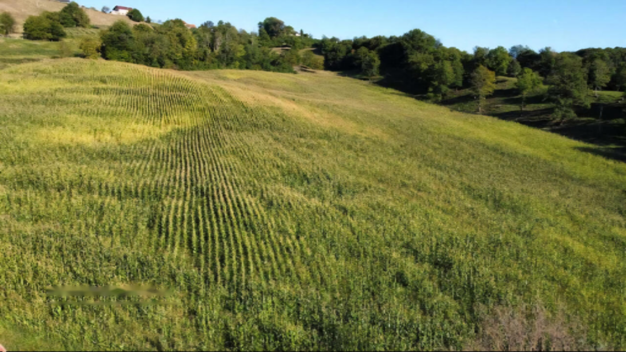 Ферма в Руше, Словения, 160 000 м² - фото 7