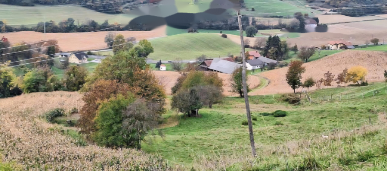 Ферма в Руше, Словения, 160 000 м² - фото 11