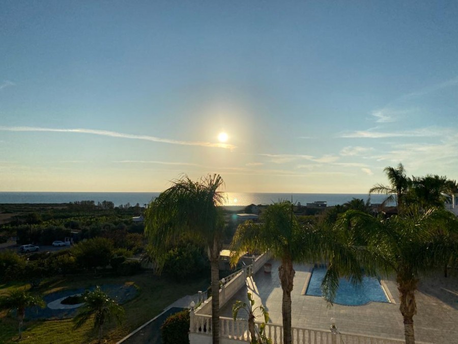 Вилла в Пафосе, Кипр, 4 039 м² - фото 4