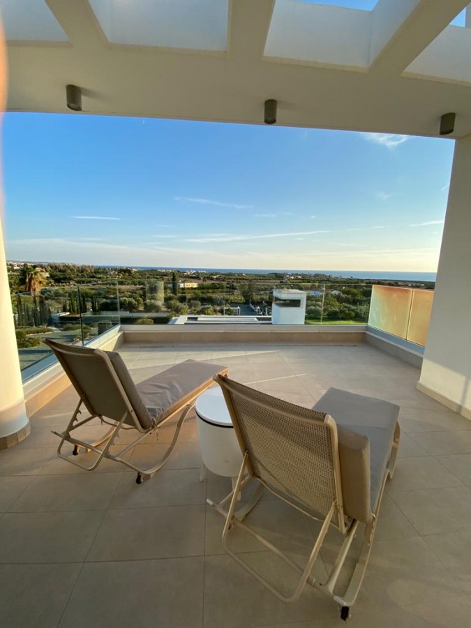 Вилла в Пафосе, Кипр, 4 039 м² - фото 7