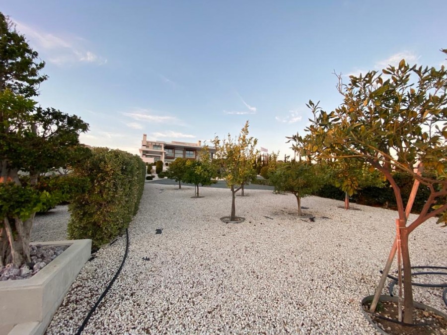 Вилла в Пафосе, Кипр, 4 039 м² - фото 9